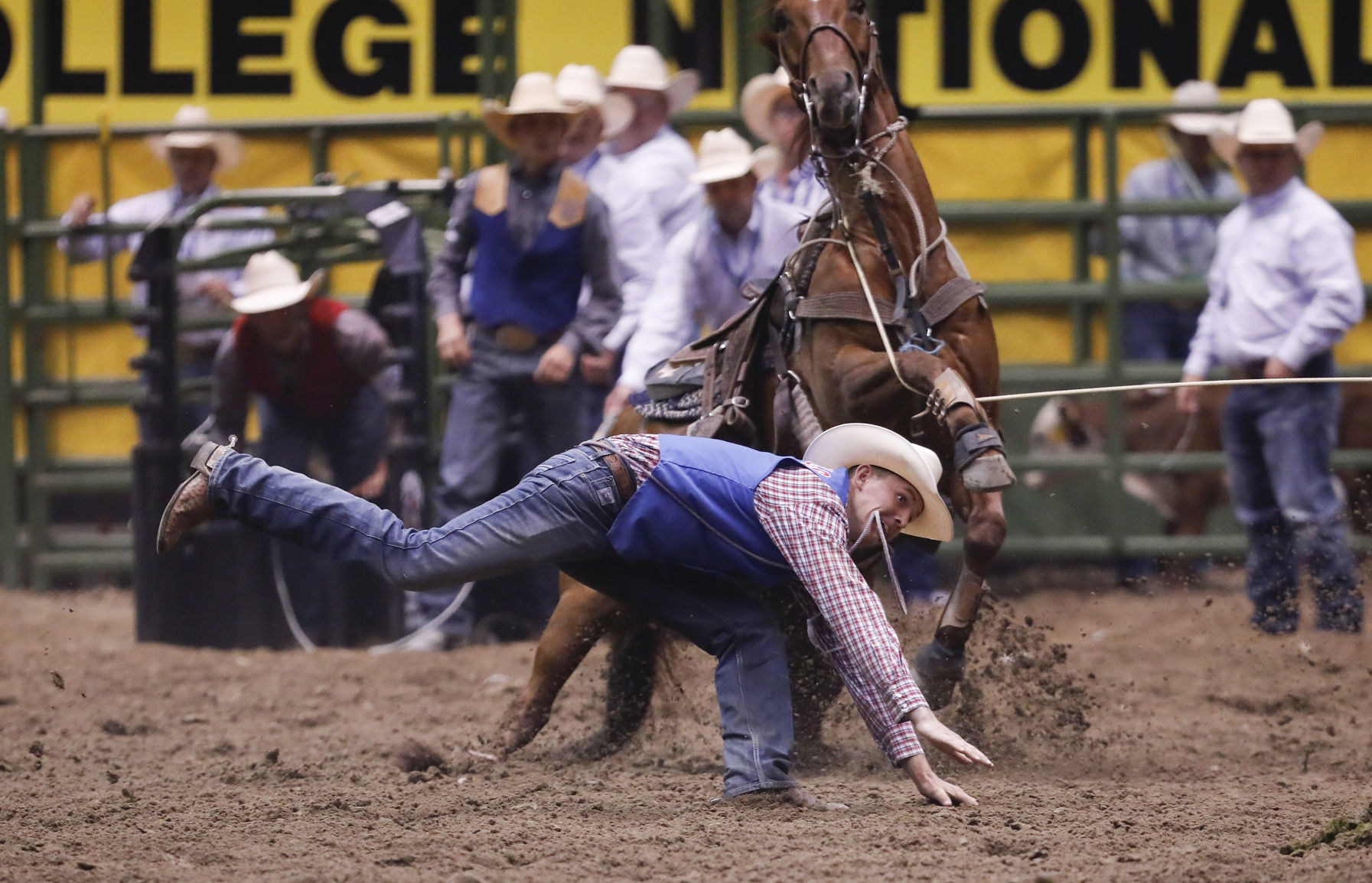 CNFR - Tuesday